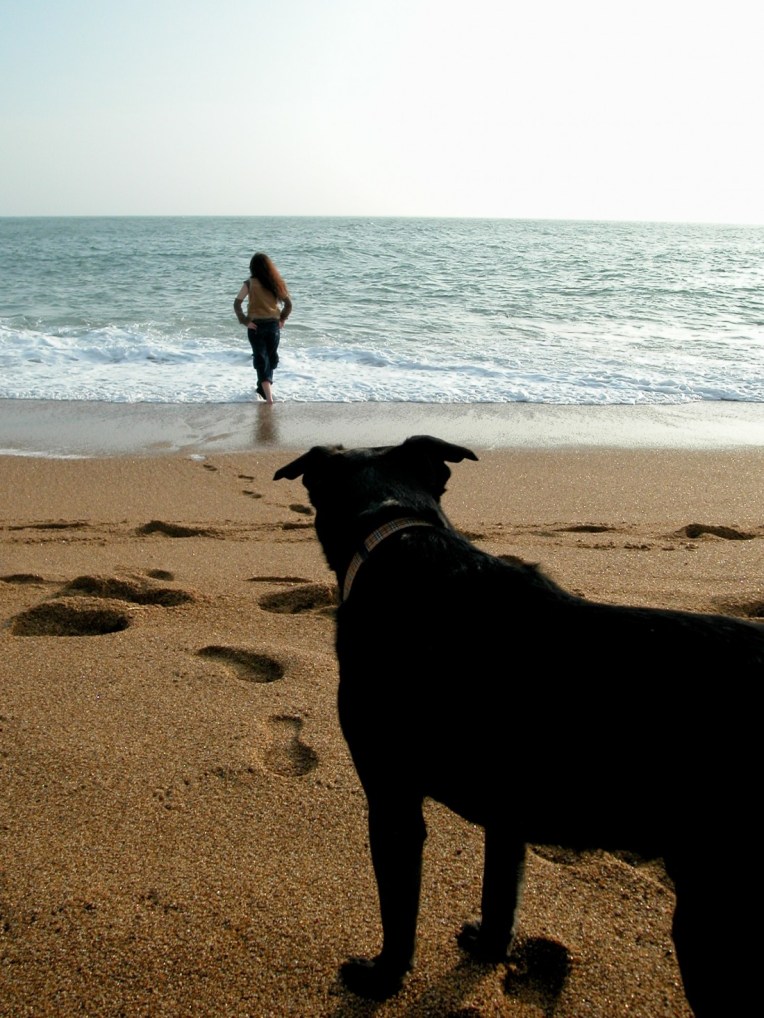 ©fredericbiver-0116