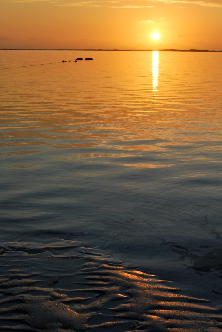 ©fredericbiver-0523